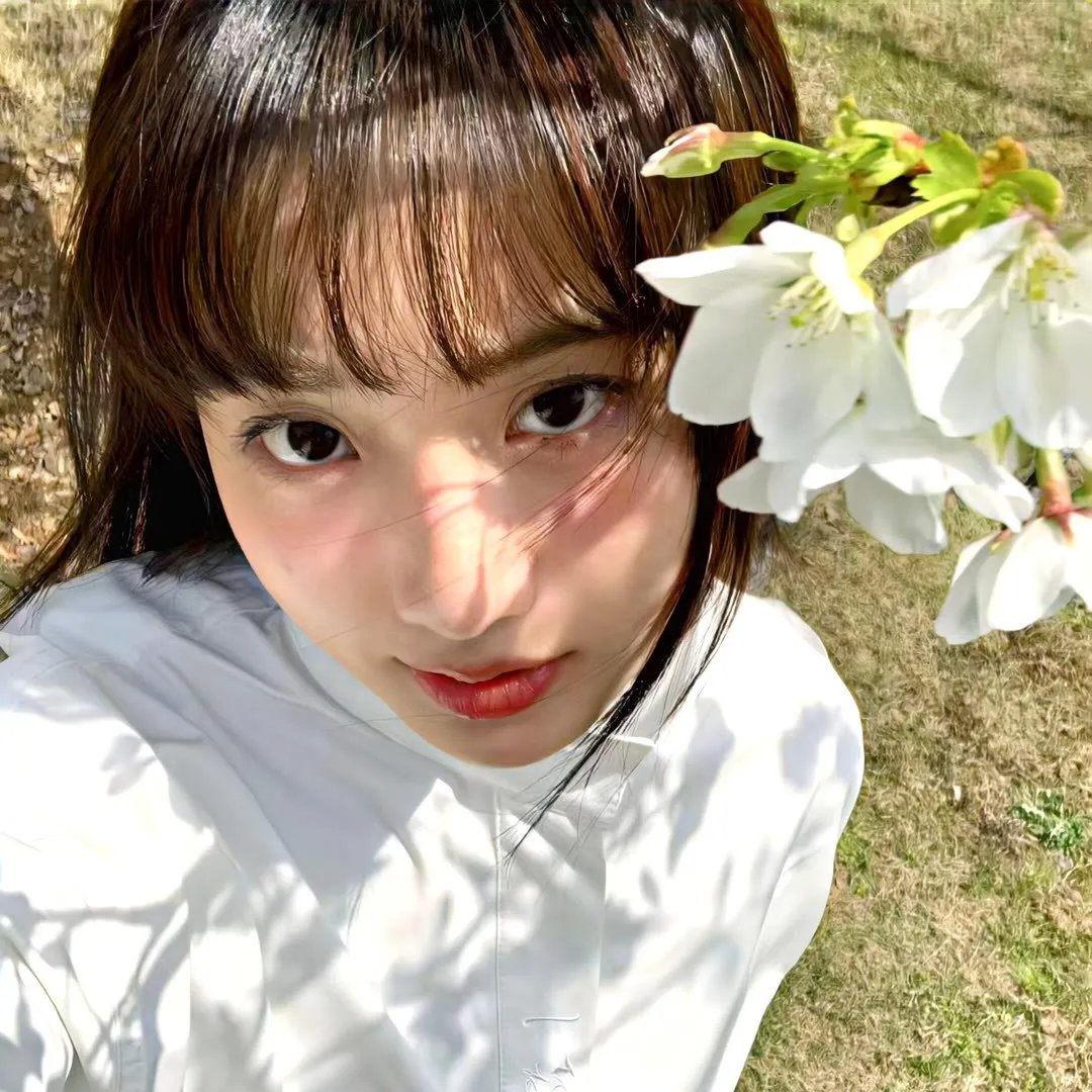 金刚归来2024