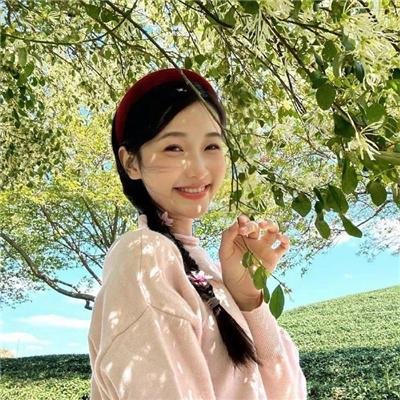 花篮花儿香